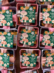 Mushroom Birthday Party Favor Tags