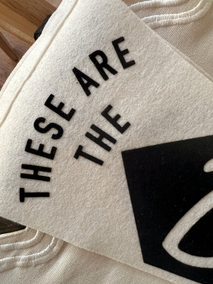 These Are The Days - Medium Pennant - Black