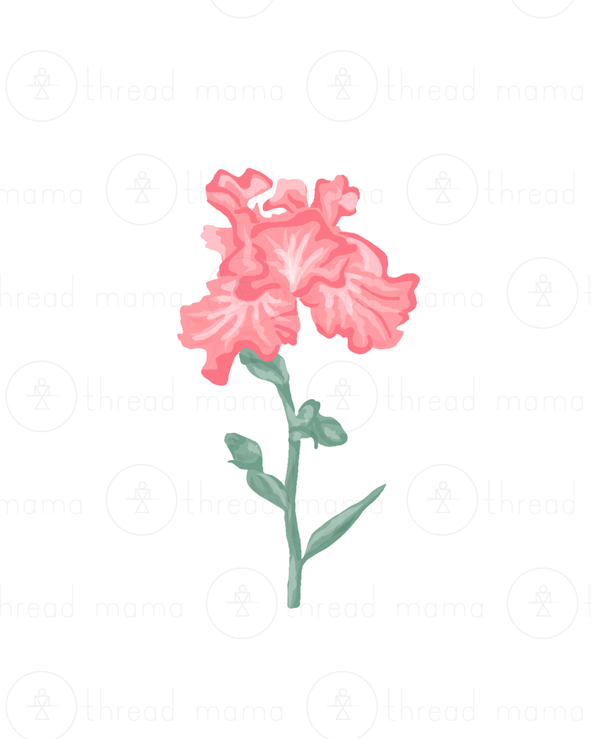 Easter / Spring (Vol. 4) - Set (Graphic Elements)