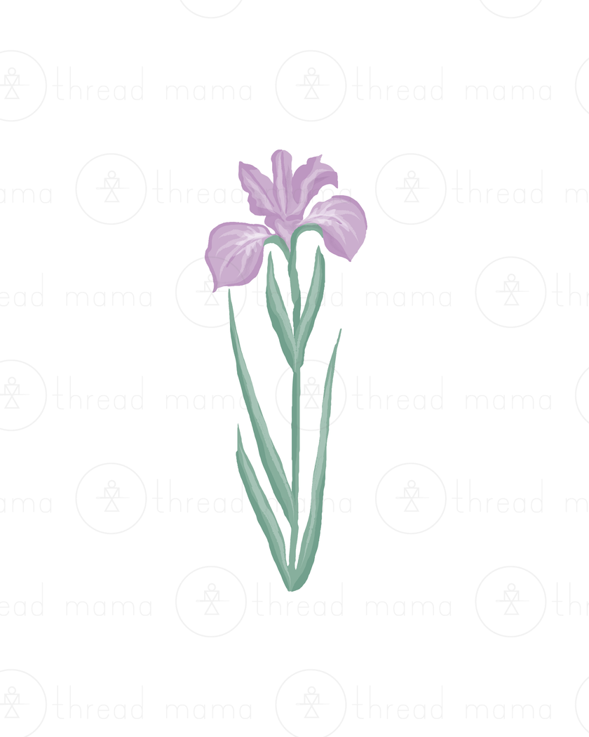 Easter / Spring (Vol. 4) - Set (Graphic Elements)