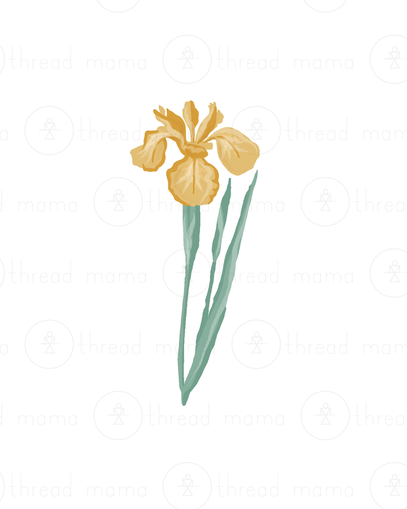 Easter / Spring (Vol. 4) - Set (Graphic Elements)