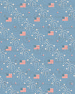 RepeatingPattern_052826_A_FireworksFlags