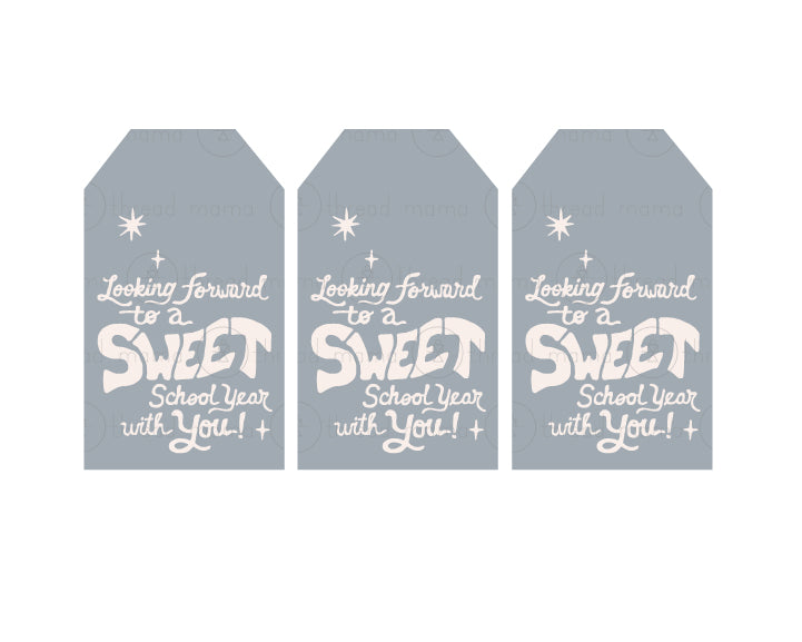 Back To School - Teacher Gift Tags and Flags (Vol.4)