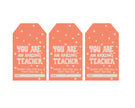 Teacher Appreciation Tags and Flags (Vol.3)