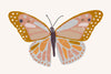 Butterfly (Printable Poster - 2 options!)
