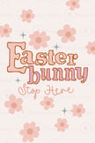 Easter Bunny Stop Here