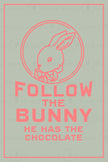 Follow The Bunny - Set