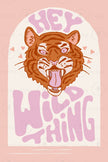 Hey Wild Thing - Set