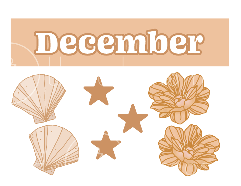 Days / Months / Weather / Alphabet (Printables)